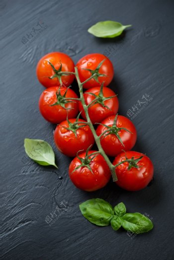 番茄西红柿图片