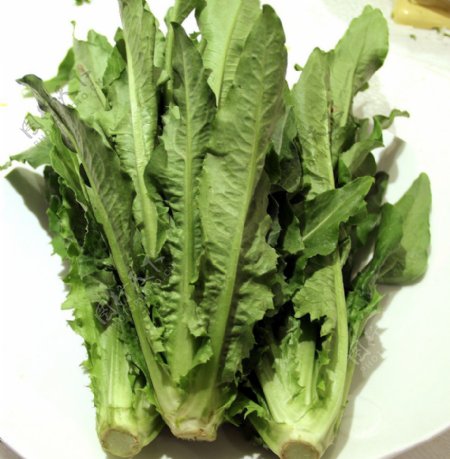蔬菜健康食品图片