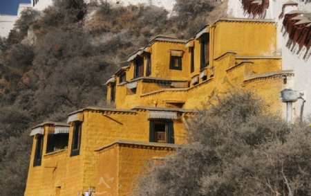 布达拉宫的黄色图片