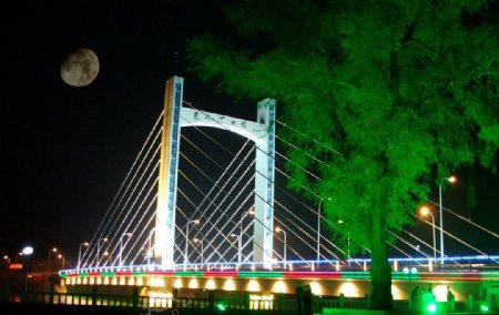 辽源斜拉桥夜景图片