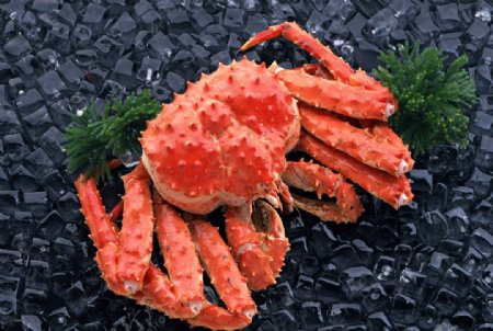 螃蟹新鲜海鲜海鲜素材图片