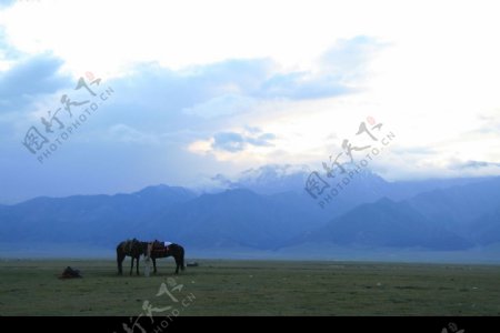 新疆行摄影集002图片