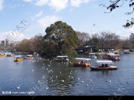 昆明翠湖公园图片