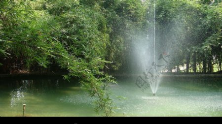 竹林喷泉图片