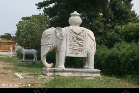 石雕大象清西凌图片