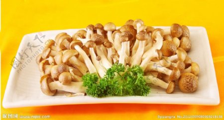 火锅蟹味菇图片