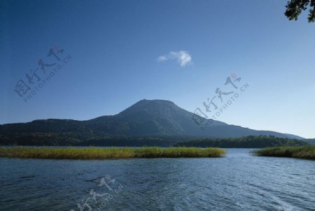 四季景观图片