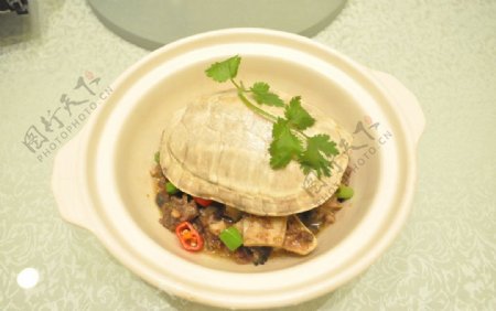 红烧乌龟美食图片