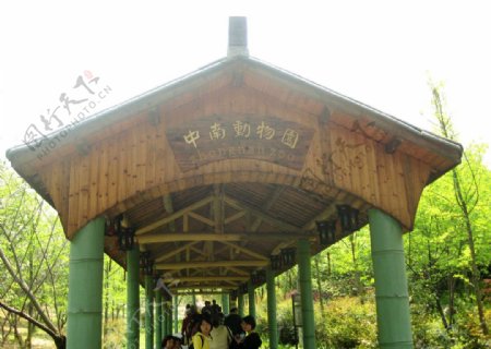 中南动物园图片