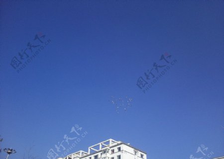 群燕翱翔图片