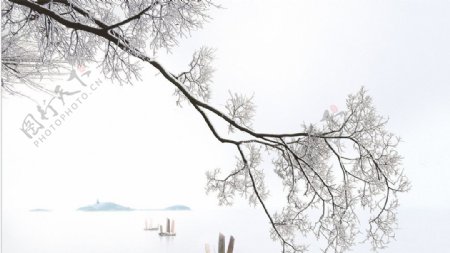 太湖雪景图片