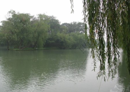 绿湖图片