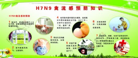 禽流感预防知识宣传栏图片