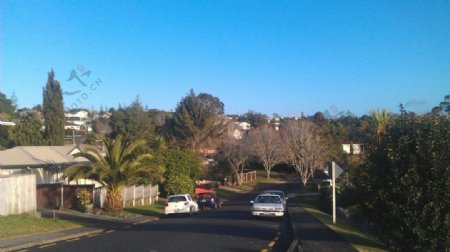 新西兰奥克兰郊外一景图片