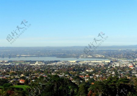 新西兰奥克兰一树山风景图片