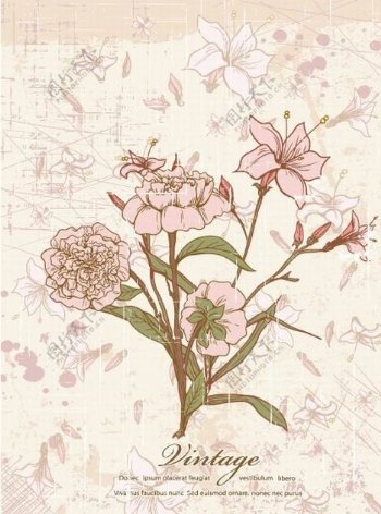 粉色古典花纹花朵图片