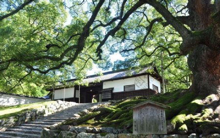 京都冈山公园图片