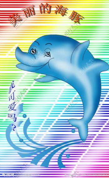海豚卡通图片
