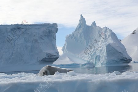 冰山冰川南极图片