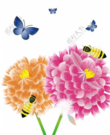 蜂蝶戏花图片