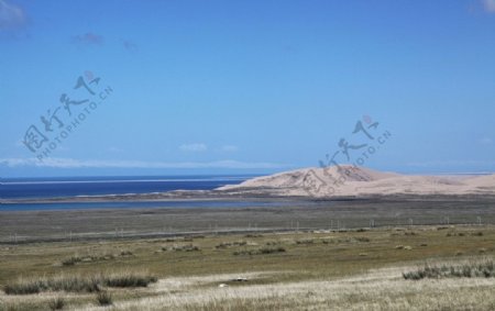 海岸牧场图片