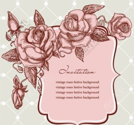 玫瑰古典花纹花朵图片
