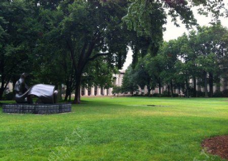 美国斯坦福大学草坪图片