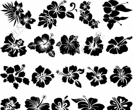 古典花朵花纹矢量素材图片