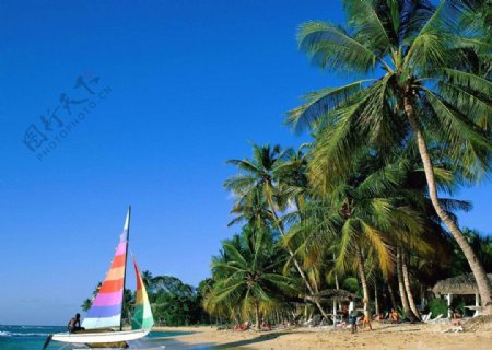马尔代夫鲁滨逊岛度假村海边图片