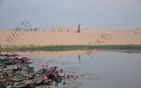 越南白沙丘图片