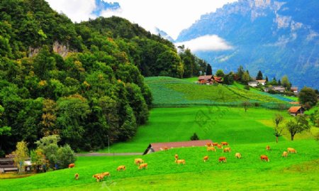 瑞士风光图片