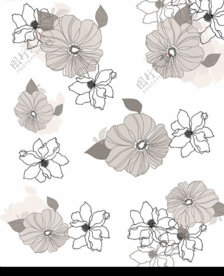 花韩国花纹花朵图片