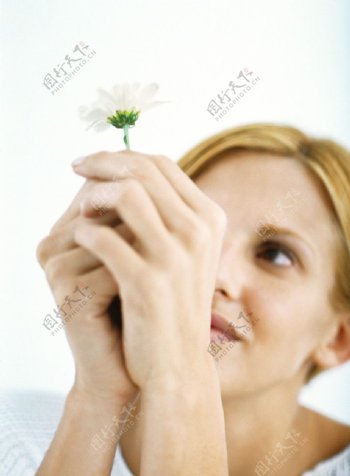 手拿菊花的美女图片