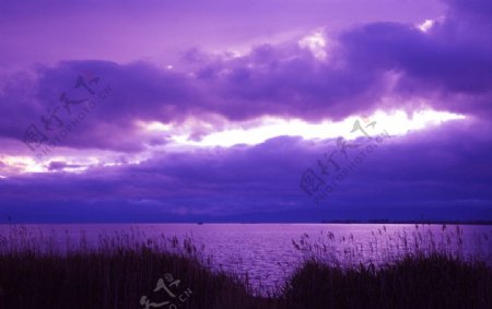紫色的天空图片