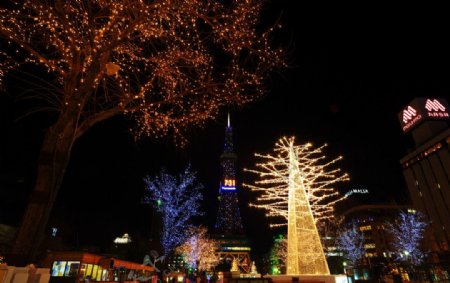 日本札幌大道公园圣诞节之夜图片