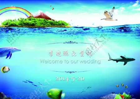 海洋婚礼背景图片