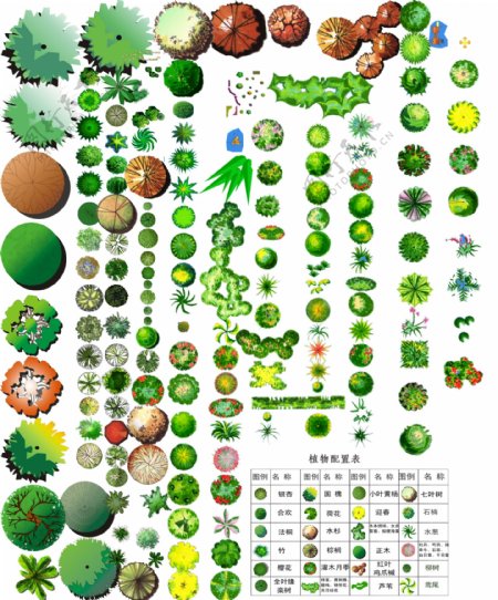 植物彩平图片