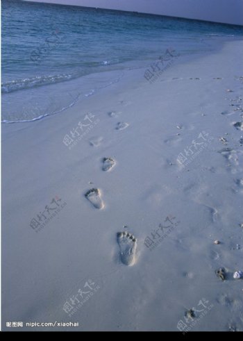 海滩上脚印图片