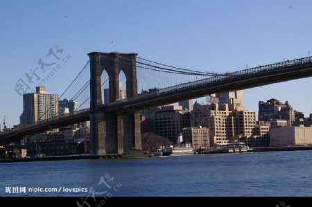 布鲁克林桥图片