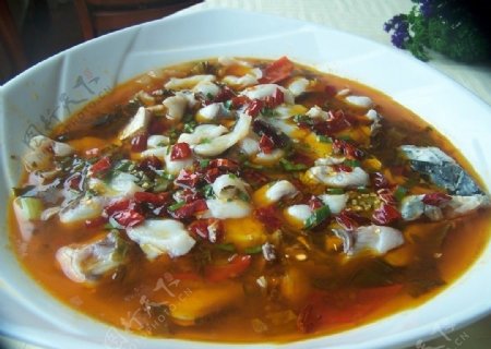 四川酸菜鱼图片