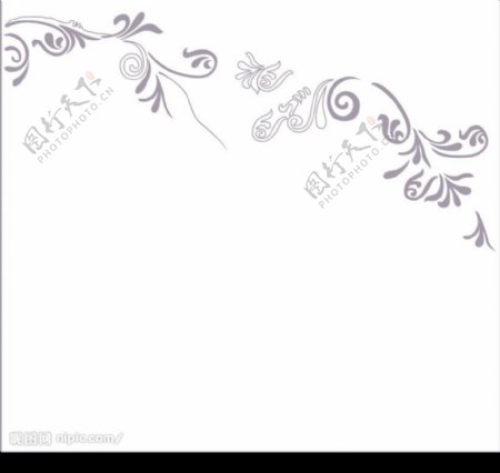 淡紫花纹图片