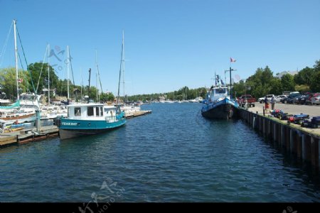 加拿大海港帆船图片