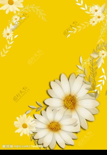 黄底白花图片