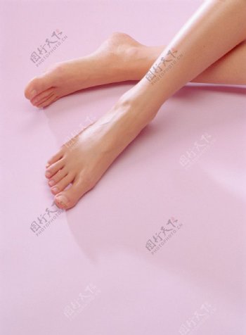 性感美腿图片