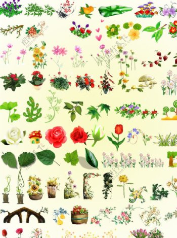 各类花草花卉素材图片