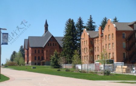 蒙大拿州立大学图片