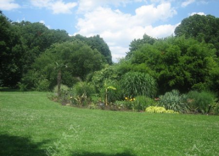 布鲁克林植物园图片