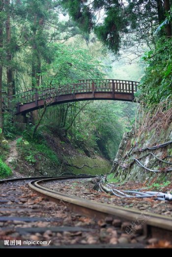 台灣嘉義阿里山鐵道與步橋的邂遘图片
