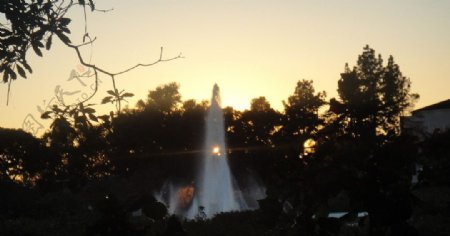 南加州大学校园喷泉图片