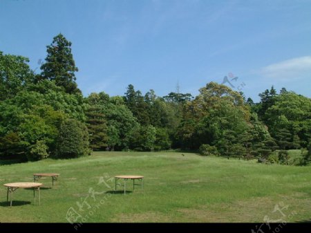 日本公园一角图片